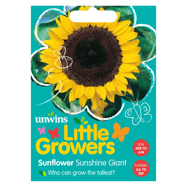 5051618011396 1 Little Growers Sunflower Sunshine Giant Seeds.jpg
